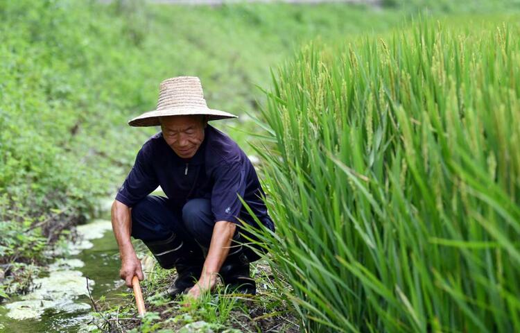 一個長城腳下小山村的發展振興路