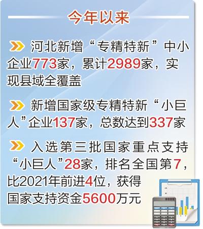 今年以來 河北新增專精特新“小巨人”137家