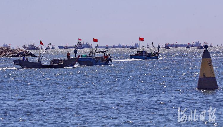 河北秦皇島：開海啦！秋汛捕撈去