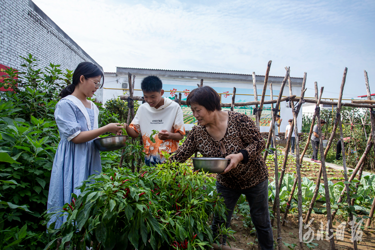 河北邯鄲市復興區：美麗鄉村東高河