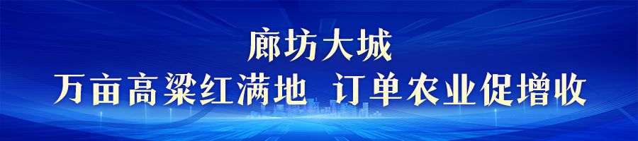 金色收穫 美麗河北｜中秋迎豐收 田野果實香