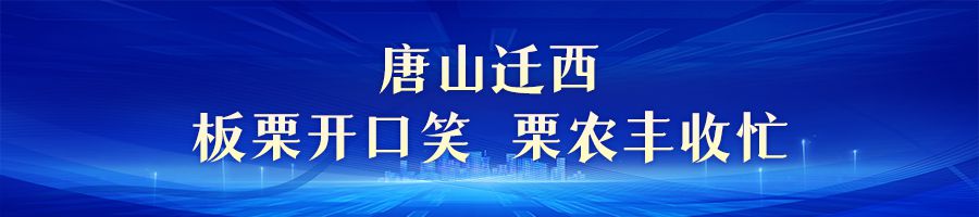 金色收穫 美麗河北｜中秋迎豐收 田野果實香