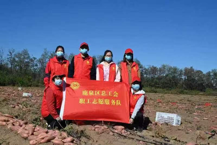 （原創）鄉村振興·工會助農 石家莊市鹿泉區總工會在行動_fororder_圖片3