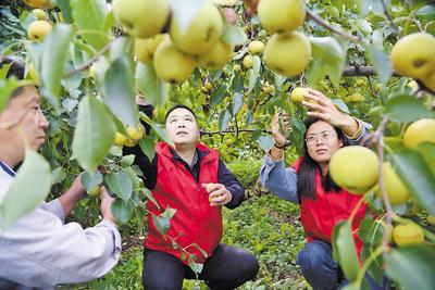 河北唐山：用榜樣力量擦亮城市文明底色