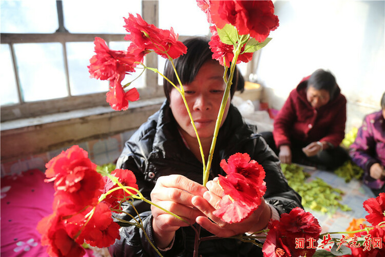 河北遷安：農民冬閒扎出增收致富幸福花