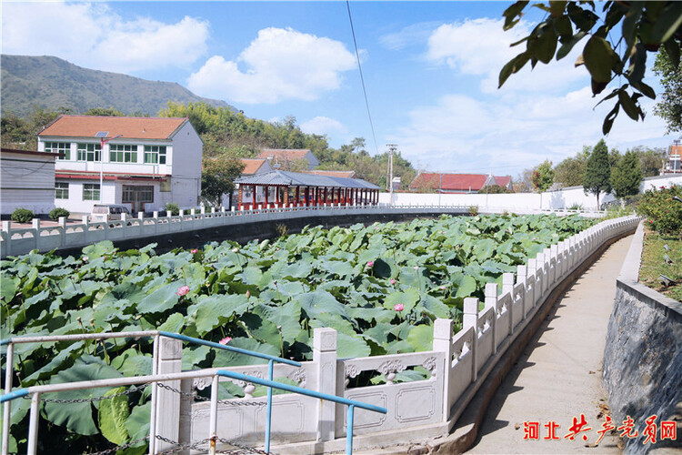 河北遷安：平安帶來千家樂 和諧催生萬象新