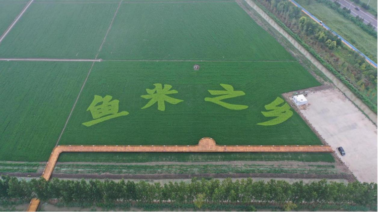 （原創）雄安新區：建設國家級一流園區基地 打造中國式農業現代化雄安場景_fororder_圖片4