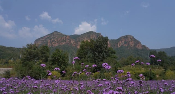 第四屆邯鄲市旅發大會觀摩點之戲曲小鎮樓上村