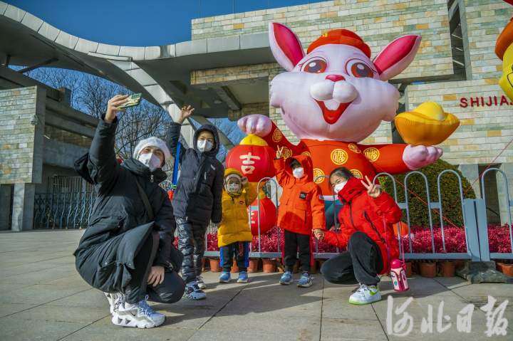 石家莊動物園來了呆萌兔_fororder_4