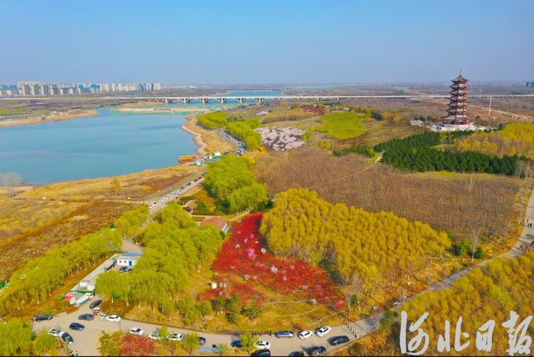 【中首】河北石家莊：滹沱河畔春光美