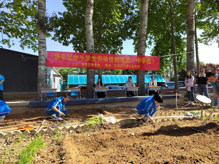 （原創）石家莊市新華區：培養勞動精神 展示勞動技能_fororder_微信圖片_20230522153349