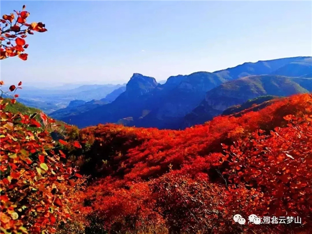 樂享河北隨手拍 最美紅葉拍起來