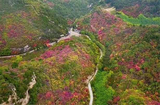 樂享河北隨手拍 最美紅葉拍起來