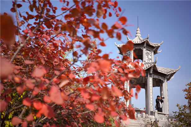 紅葉秋景