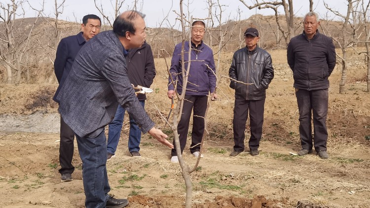 河北唐縣：開展科技下鄉 助力鄉村振興_fororder_縣職教中心高級農藝師教授農戶病蟲害早期防治及施肥澆水等實用技術