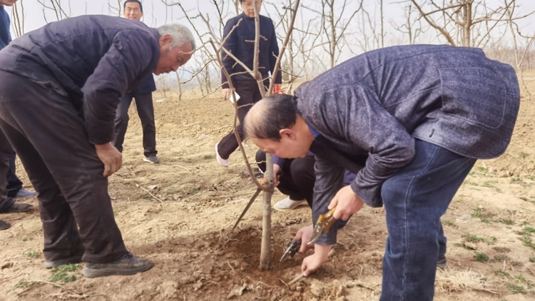 河北唐縣：開展科技下鄉 助力鄉村振興_fororder_老師手把手教授農戶如何科學種植