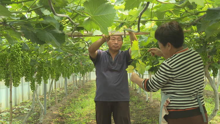 石家莊市鹿泉區：千年古邑文化助推鄉村振興_fororder_圖片 2