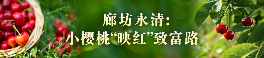 河北：瓜果飄香産業興 鄉村振興奔頭足