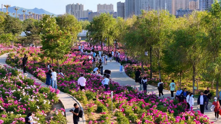 河北平泉：花香口袋公園 市民休閒好去處_fororder_圖片 1