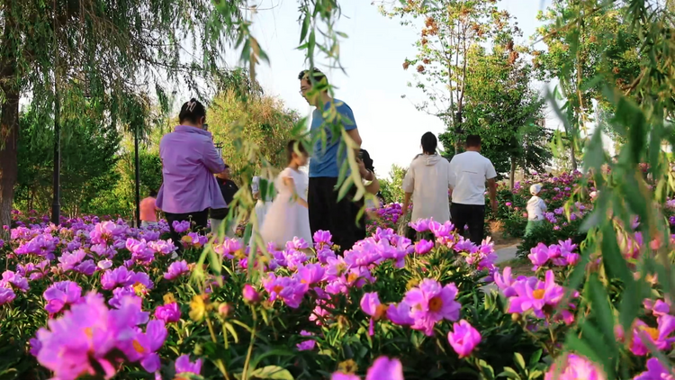 河北平泉：花香口袋公園 市民休閒好去處_fororder_圖片 3