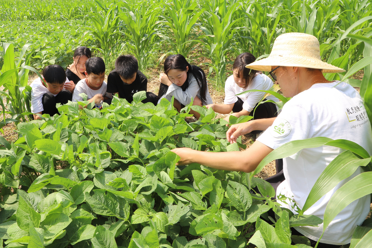 河北吳橋：研學實踐促成長 樂享暑假好時光_fororder_圖片 1