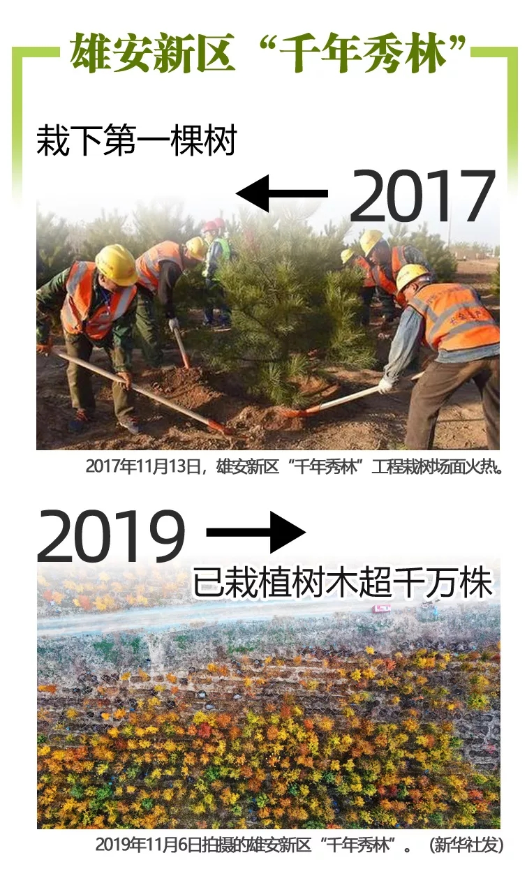 2017和2019對比來了！這些我們常挂嘴邊，這些我們看在眼裏