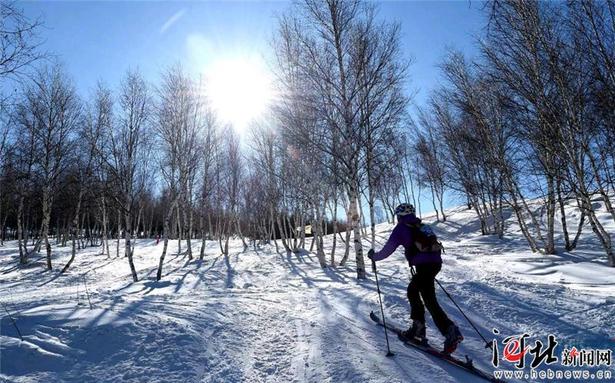 河北省首屆冰雪運動會攝影微視頻大賽優秀作品展播