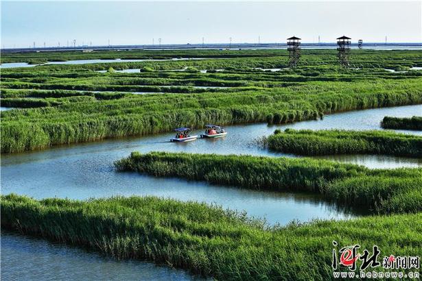 大河之北·海洋篇：碧海清波