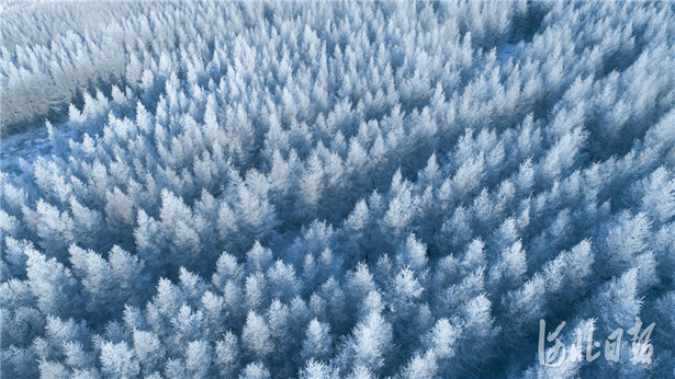 尚義：雪色浪漫大青山