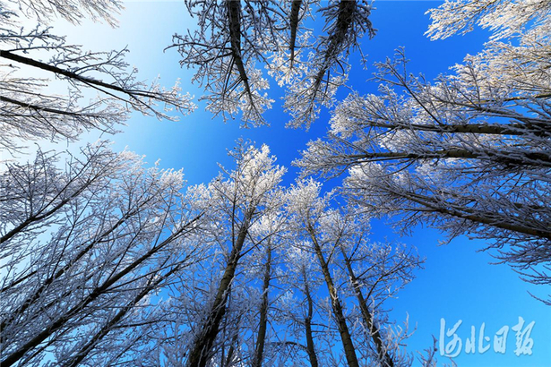 尚義：雪色浪漫大青山