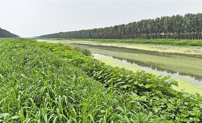 唐河污水庫一期污染治理主體工程基本結束