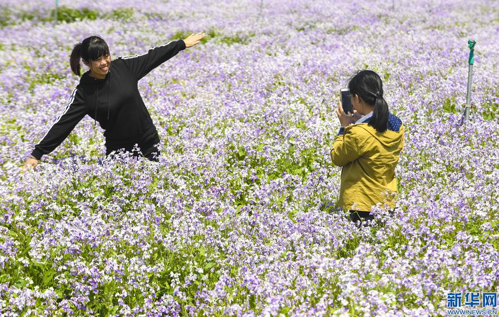 圖片默認標題