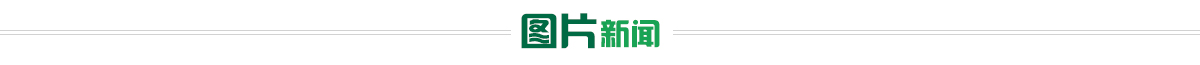 圖片新聞banner_fororder_圖片新聞 1200 65