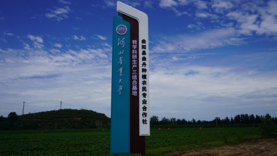 河北曲陽：河北農業大學教學科研生産三結合基地成立 助推鄉村振興_fororder_河北曲陽：河北農業大學教學科研生産三結合基地成立 助推鄉村振興 519