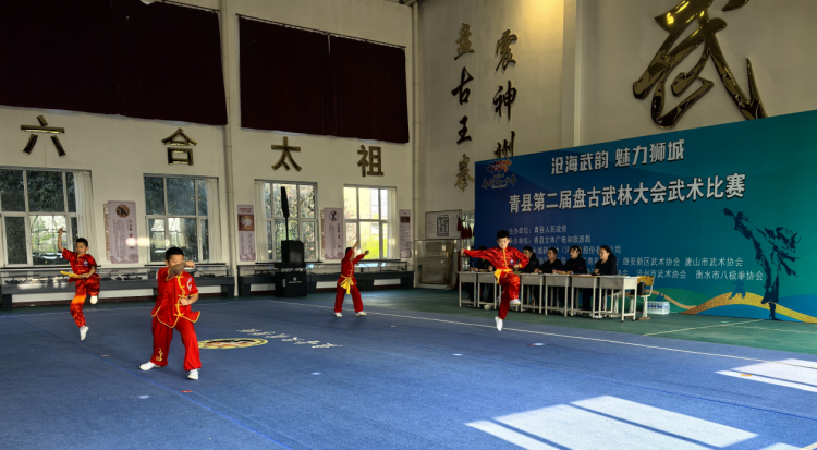 河北青縣：以武會友展風采 文化傳承啟新篇​_fororder_圖片2