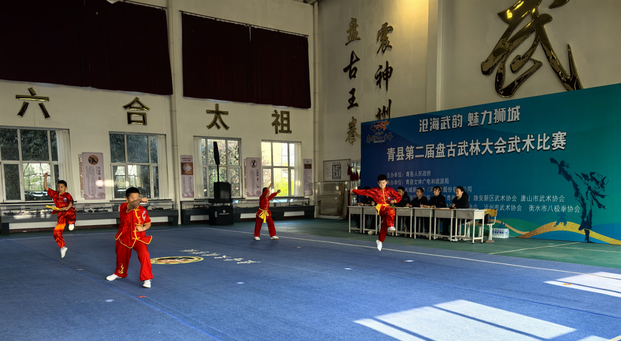 河北青縣：以武會友展風采 文化傳承啟新篇​_fororder_圖片2