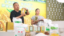 保定市徐水區：群眾有事找支部 幹部服務有溫度