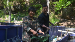 河北阜平：夏莊鄉二道莊“冷水魚”遊出“熱經濟”