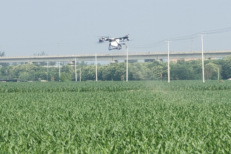 保定市徐水區：群眾有事找支部 幹部服務有溫度_fororder_麒麟店村黨支部根據百姓需求，集中進行農田飛防作業。董利民 攝
