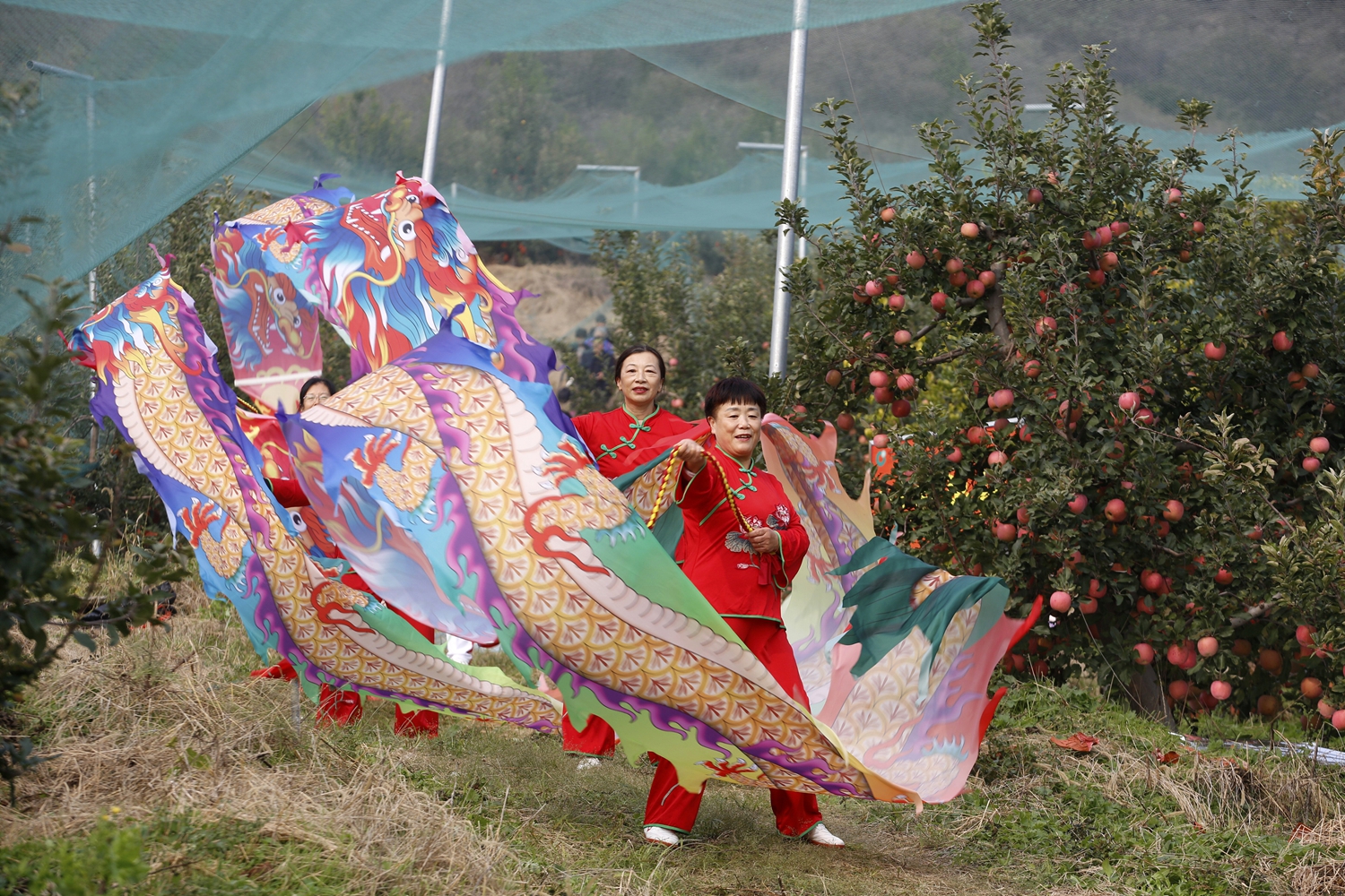 保定市滿城區:“媒體+”賦能特色農業 共繪鄉村振興新畫卷_fororder_精彩的舞龍表演 攝影 田素然