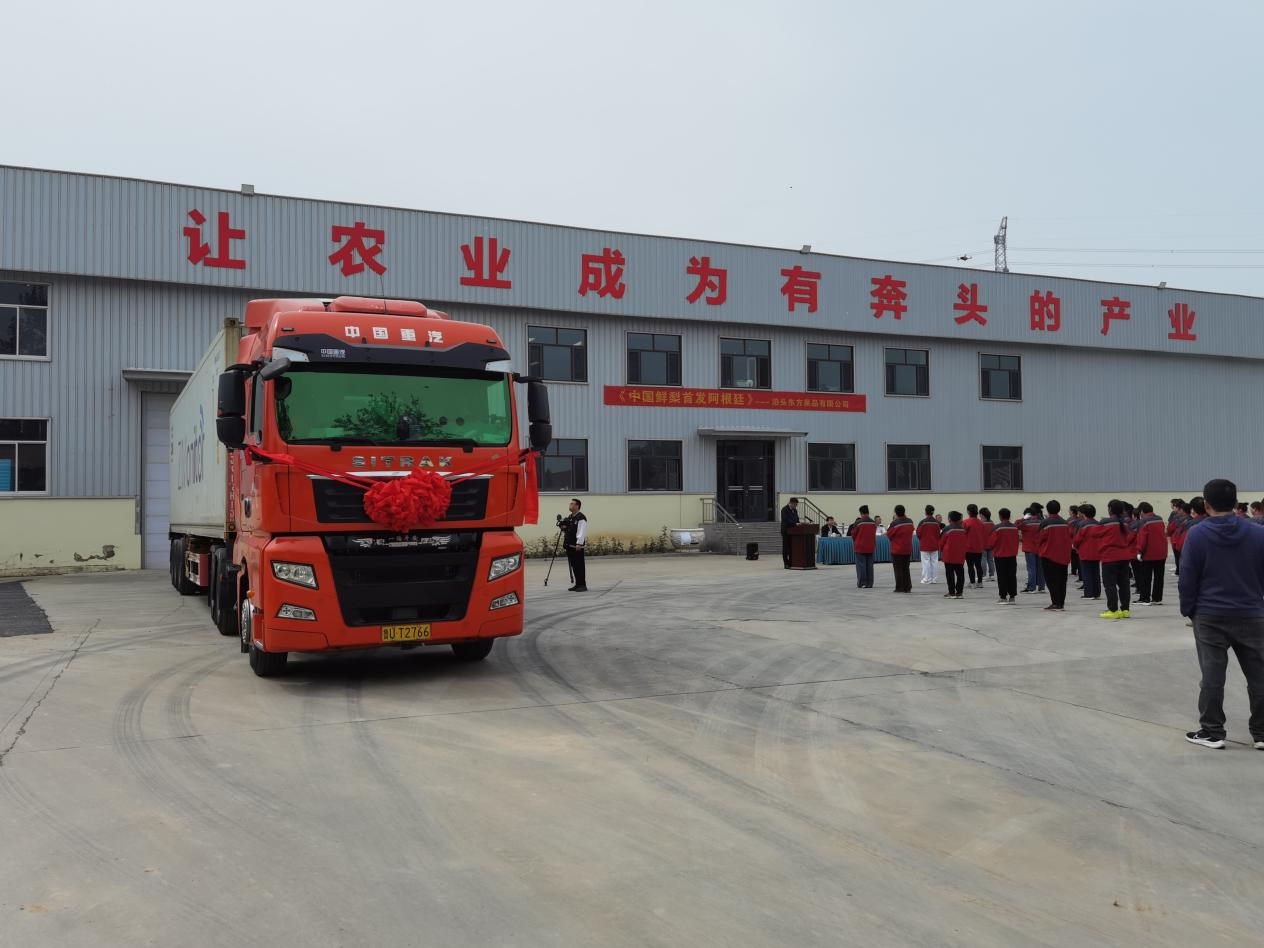 河北泊頭鮮梨首登阿根廷市場 千年梨鄉叩開南美新銷路_fororder_圖片1