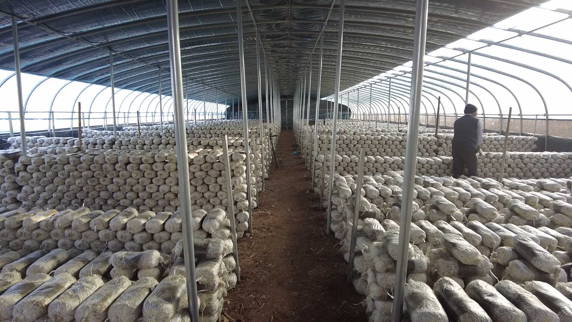 河北遷安：百餘名高校學子投身家鄉社會實踐_fororder_圖3