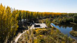 河北高陽：多彩秋景美如畫