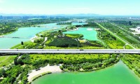 碧水奔流萬物生——從美麗河湖看石家莊滹沱河生態修復之路