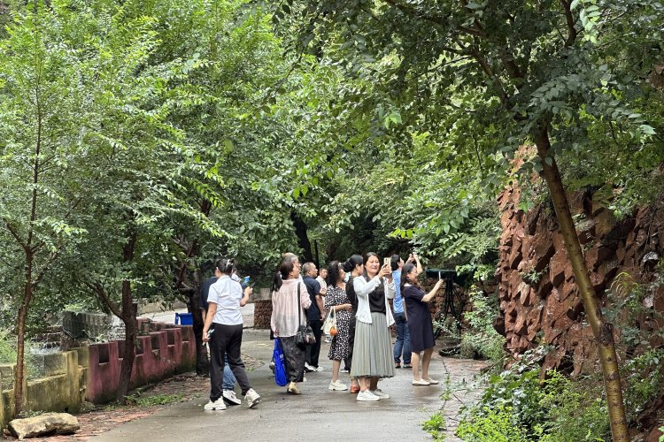 河北省遷安市“遷嶂岩杯”文學采風創作大獎賽活動啟動_fororder_8月19日，各地的文學愛好者們到遷安市遷嶂岩（塔寺峪）景區內進行文學采風。張澤慧攝