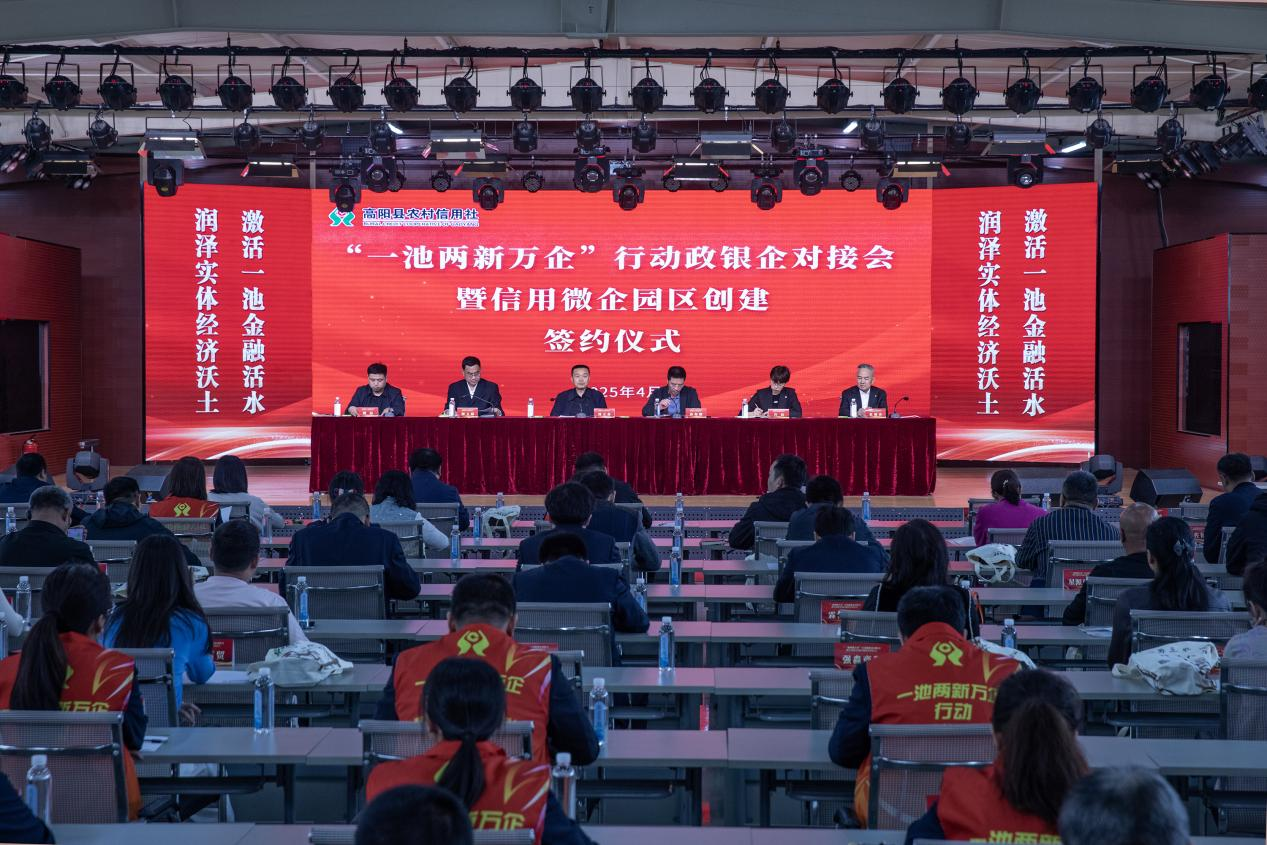 河北高陽：政銀企助力小微企業高品質發展_fororder_圖片 1