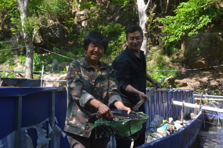河北阜平：夏莊鄉二道莊“冷水魚”遊出“熱經濟”_fororder_河北阜平：夏莊鄉二道莊“冷水魚”遊出“熱經濟”2