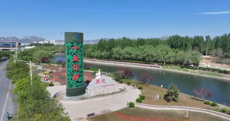 石家莊市鹿泉區：繽紛花海初現 進入盛放倒計時_fororder_image003