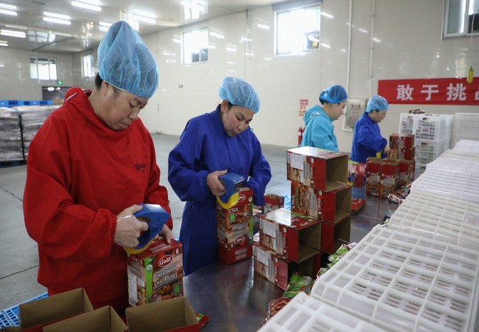 圖片默認標題_fororder_參賽職工正在進行産品封盒競賽。融媒體中心供圖