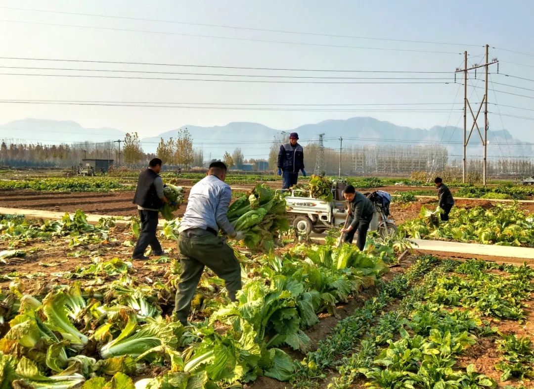 石家莊市鹿泉區：下沉一線辦實事 “微心願”點亮民心路_fororder_image003